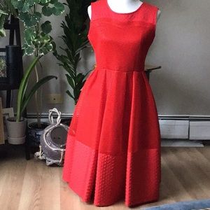 Why Dress mesh red dress